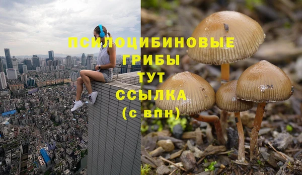 марихуана Магас