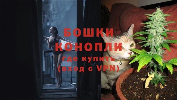 мдпв Магадан