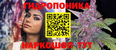 дживик Абакан