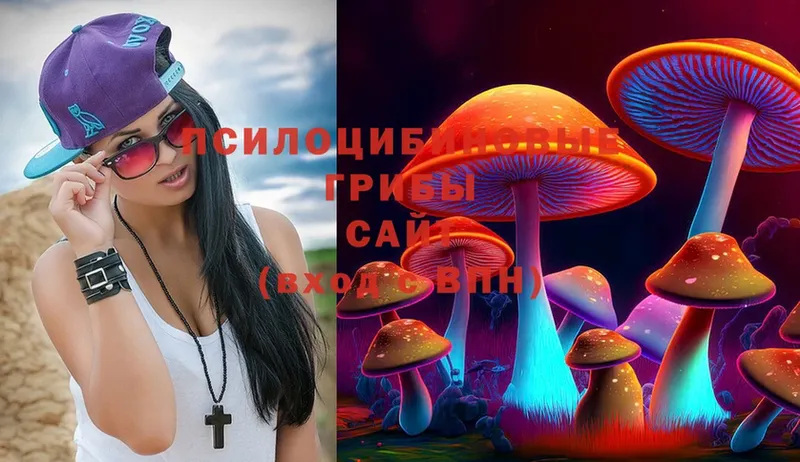 Галлюциногенные грибы MAGIC MUSHROOMS  Севастополь 