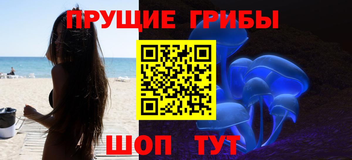 Галлюциногенные грибы Psilocybe Севастополь